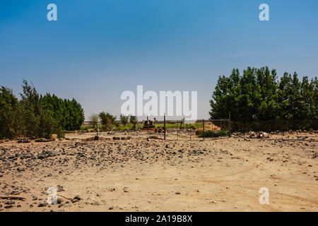 A small oasis in Harrat Kishb near Umm Aldoom, Makkah Province, Saudi Arabia Stock Photo