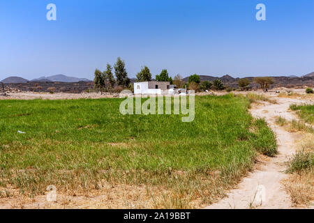 A small oasis in Harrat Kishb near Umm Aldoom, Makkah Province, Saudi Arabia Stock Photo