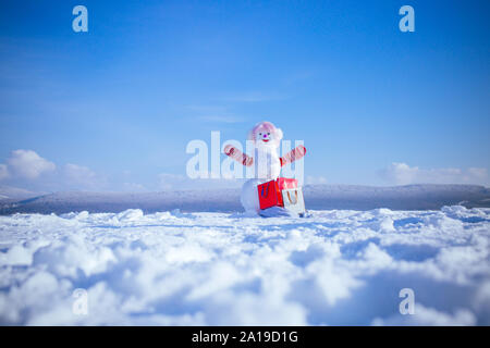 Christmas or xmas decoration. Snowman in pink wig and mittens with gift pack. Winter activity and party. Happy holiday and celebration. New year snowm Stock Photo