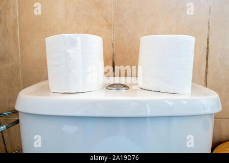 A couple of white toilet rolls on top of a toilet cistern in a bathroom. Stock Photo