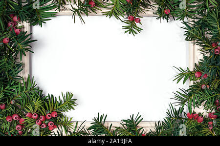 Christmas tree branches and frame for note. Stock Photo