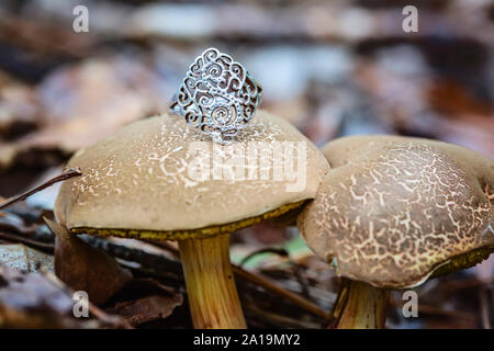 Silver ring placed on mushroom in autumn forest Stock Photo