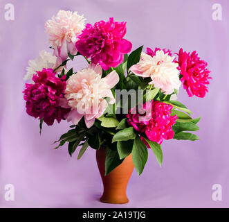 nine bright burgundy, tender pink and white peonies in a clay terracotta vase on a soft purple background, postcard, congratulation, illustration Stock Photo