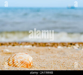 bright striped shell in quartz sand against the blue sea white surf foam and ship's silhouette on the horizon Stock Photo
