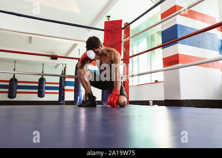 Male boxer in a boxing ring Stock Photo