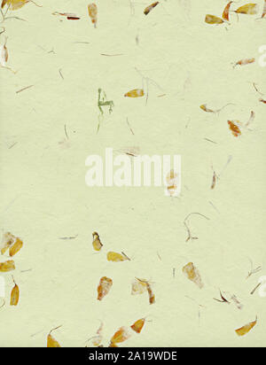 Handmade paper with dry flowers Stock Photo