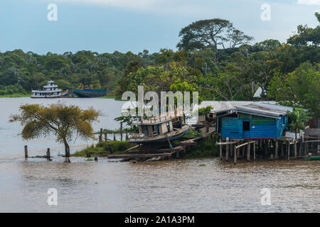 Obersations on a two-day boat trip from Manaus to Tefé, Rio Solimoes, Amazonas, The Amazon, Brazil, Latin America Stock Photo