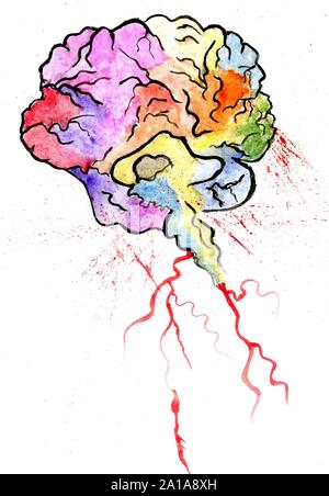 The human nervous system, hand drawn medical illustration, color ...