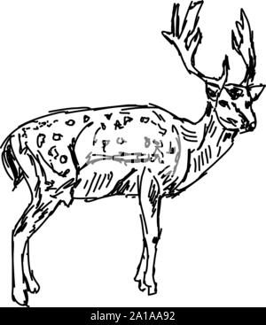 Vector image of deer on white background. Easy editable layered vector ...