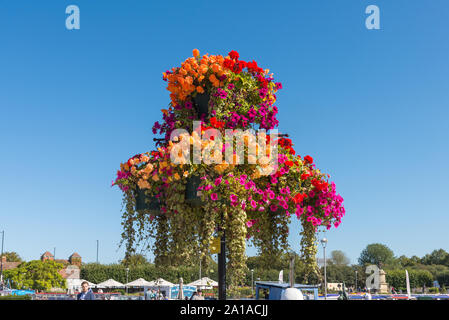 Colourful hanging basket displays on posts in late summer sunshine in Stratford-upon-Avon, Warwickshire, UK Stock Photo