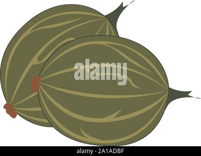 Gooseberry, illustration, vector on white background. Stock Vector