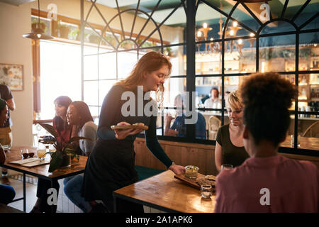 Young waitress serving food to a table of smiling customers Stock Photo