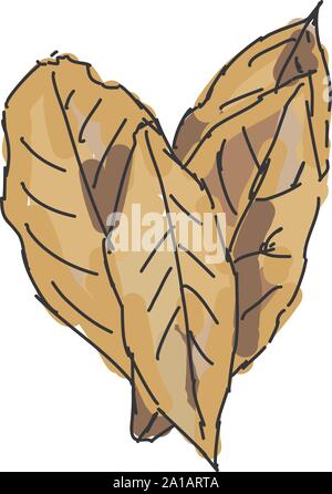 Bay leaves, illustration, vector on white background. Stock Vector