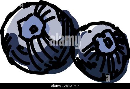 Blueberries, illustration, vector on white background. Stock Vector