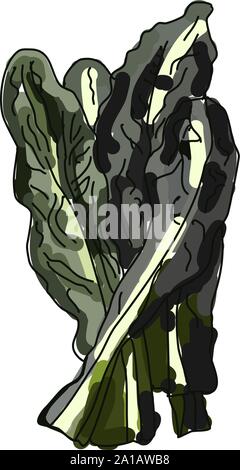 Dinosaur kale, illustration, vector on white background. Stock Vector