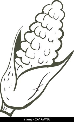 Corn drawing, illustration, vector on white background. Stock Vector