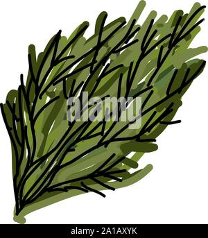 Fresh dill, illustration, vector on white background. Stock Vector