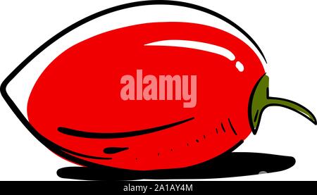 Tamarillo, illustration, vector on white background. Stock Vector