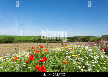 Wind turbines in fields, near Braunton, Devon, England, United Kingdom Stock Photo