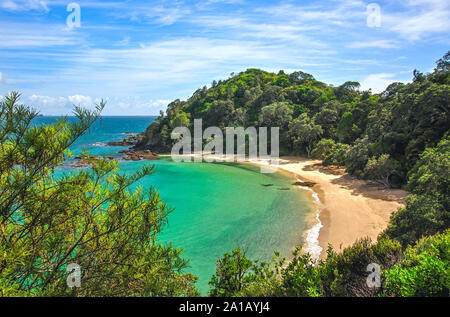 Whale Bay, Tutukaka Coast, Northland Region, North Island, New Zealand Stock Photo