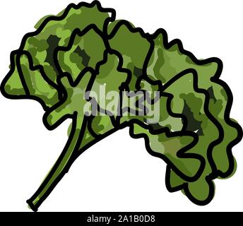 Curly green, illustration, vector on white background. Stock Vector