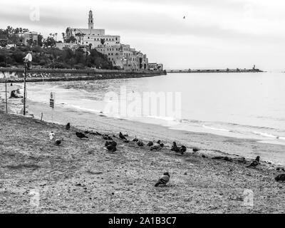 Tel Aviv, Israel - February 4, 2017: View of the Jaffa Promenade. People relaxing on the beach Tel Baruch in Tel Aviv. Stock Photo