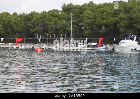 44th Faros swimming marathon in Stari grad, Hvar island, Croatia Stock Photo