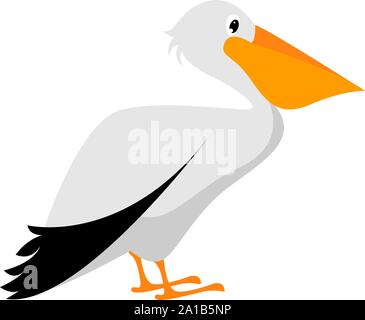 Pelican, illustration, vector on white background. Stock Vector