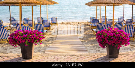 Sandy beach with flower pots of purple flowers near the wooden path to the sea and umbrellas in Greece coast Stock Photo