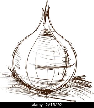 Onion drawing, illustration, vector on white background. Stock Vector