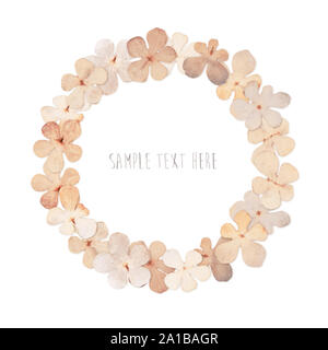 Pressed and dried pink flowers wreath Stock Photo
