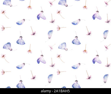 Pressed and dried flowers pattern Stock Photo