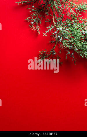 Pine branches on red background. flat lay, Nature Christmas, concept and copy space for text from above. Nobody Stock Photo