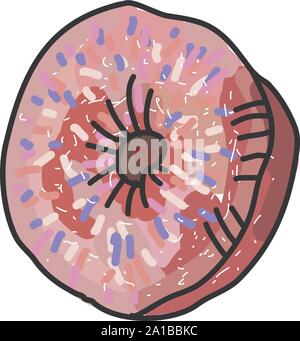 Pink donut, illustration, vector on white background. Stock Vector