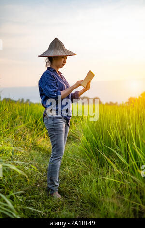 Woman farmer using a digital tablet while in green rice seedlings at a paddy field with beautiful sky and cloud, The sun setting over a mountain range Stock Photo