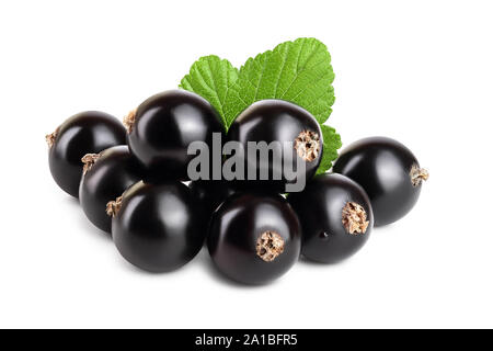 black currant with leaf isolated on white background. Stock Photo