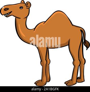 Camel, illustration, vector on white background. Stock Vector