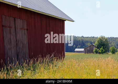 Country landscape with three wooden barns, slightly leaning, on a sunny day of summer. Salo, Finland. Stock Photo