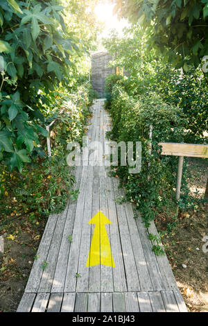 Yellow Arrow Painted on Wooden Planks. Direction or guidance concept Stock Photo