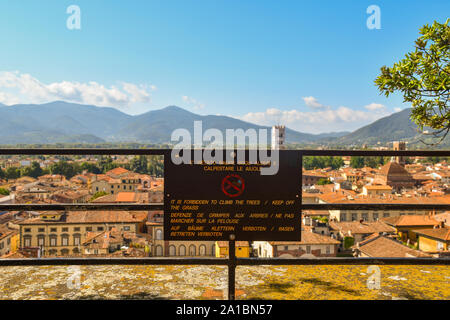 Warning sign on the railing on the top of the Guinigi Tower that says: 'It's forbidden to climb the trees, keep off the grass', Tuscany, Italy Stock Photo