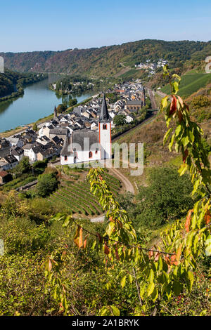 The wine village at the Mosel, Hatzenport, Untermosel, St.Rochus church, on the right and the ferry tower, St. John's Church, in front, Stock Photo