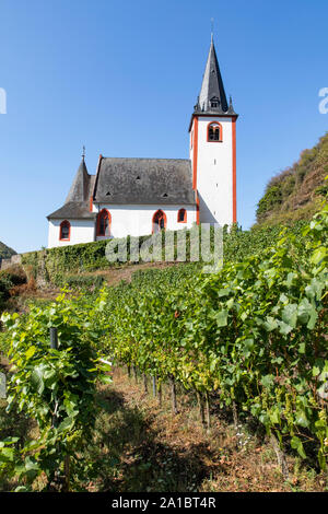 The wine village on the Moselle, Hatzenport,  Lower Moselle, St. John's Church, Stock Photo