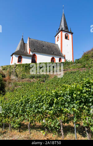 The wine village on the Moselle, Hatzenport,  Lower Moselle, St. John's Church, Stock Photo