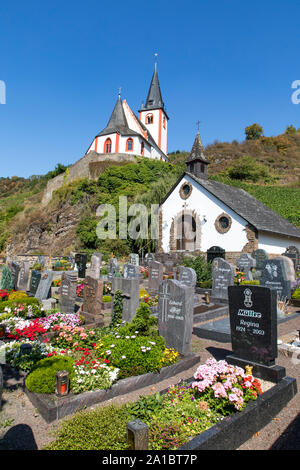 The wine village on the Moselle, Hatzenport, Lower Moselle, St. John's Church, cemetery in the vineyard, Stock Photo