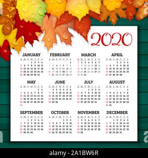 Calendar for 2020 year with colorful autumn leaves on wooden background vector Stock Vector