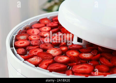 Sliced strawberries in the food dryer. Cut strawberries on dehydrator tray. Closeup, selective focus Stock Photo
