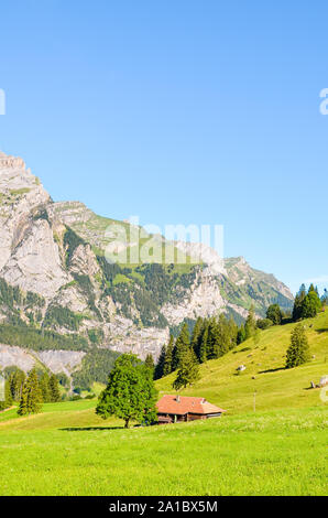 Green Alpine landscape near Kandersteg in Switzerland captured in the summer season. Meadows, rocky hills. Swiss Alps, rocks and mountains. A trail leading to Oeschinensee lake, vertical photo. Stock Photo