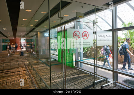 SINGAPORE - CIRCA APRIL, 2019: entrance to Butterfly Garden in Changi International Airport. Stock Photo