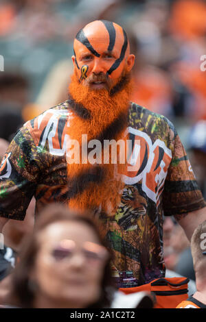 Cincinnati, OH, USA. 15th Sep, 2019. Cincinnati Bengals defensive