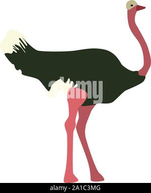 Green ostrich, illustration, vector on white background. Stock Vector
